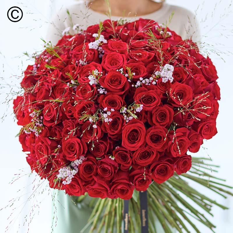 100 Red Roses